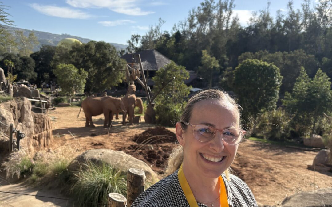 Elephant-sized Lesson On Letting Go